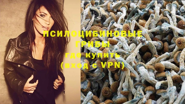 тгк Алзамай