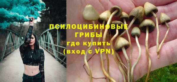 PSILOCYBIN Алексеевка