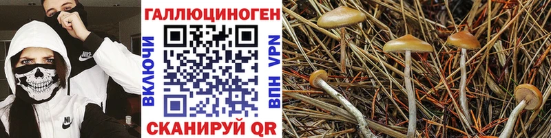 Псилоцибиновые грибы мухоморы  Котельники 