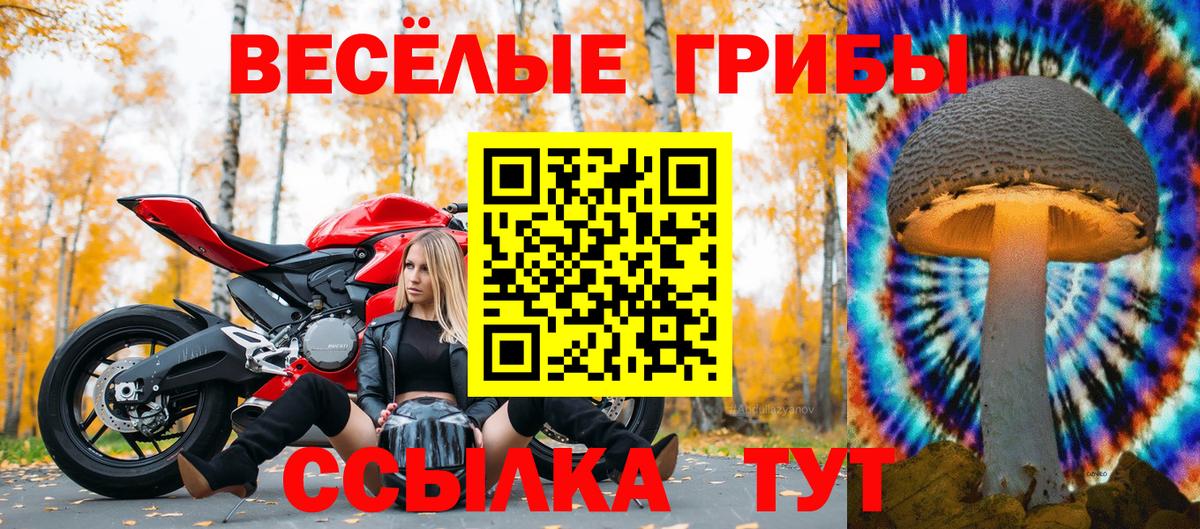 Галлюциногенные грибы MAGIC MUSHROOMS Котельники